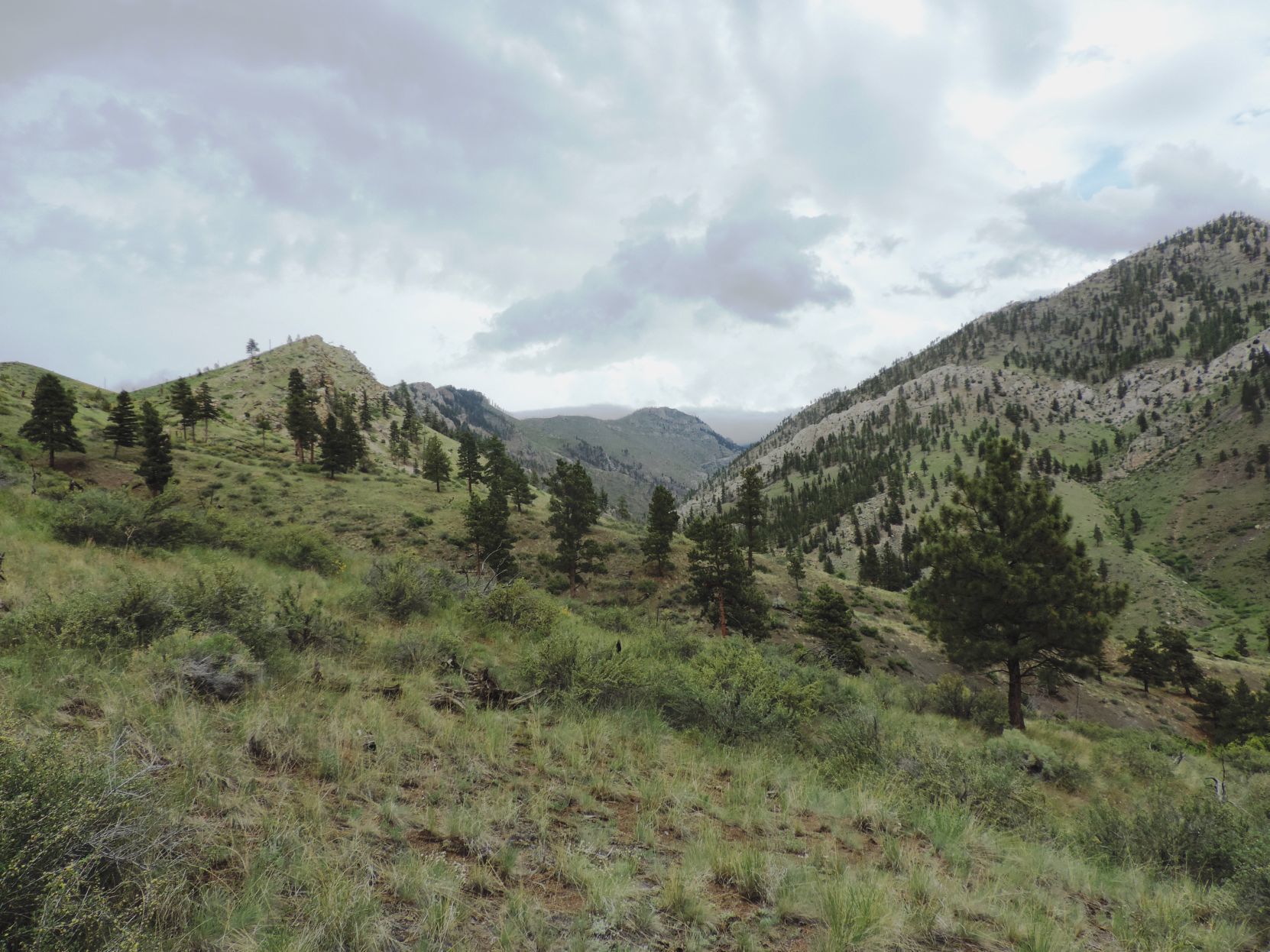Hunters Gulch